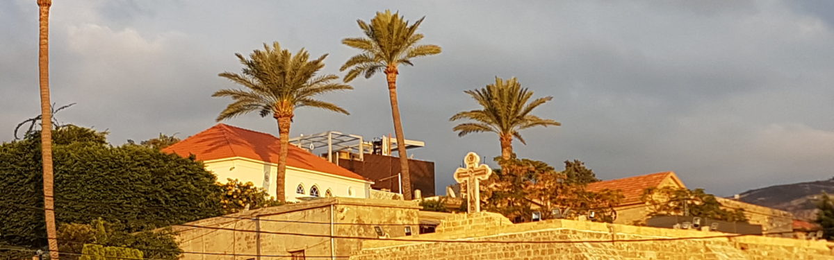 nghosn